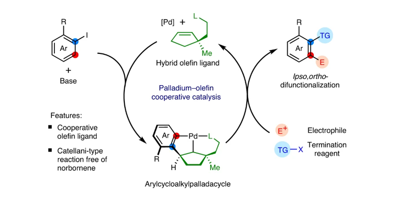 Ya-Xin's work has been published in Nature Synthesis. Congratulations!