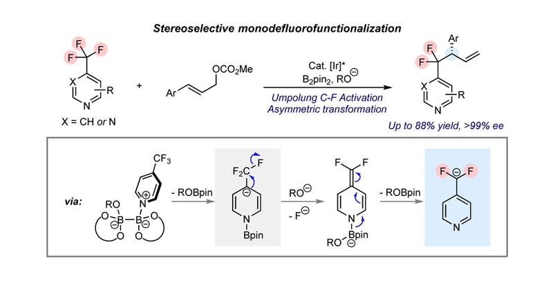 Fei-Yu's work has been accepted by Angew. Chem. Int. Ed. Congratulations!