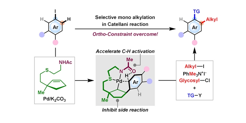 Feng-Yuan and Yu-Xiu's work on novel olefin ligand published in JACS.