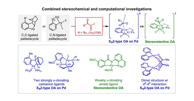 Xinyu's interesting mechanistic study published in Organometallics.