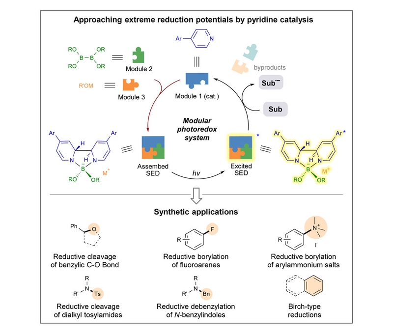 Lutao's work on N-boryl pyridyl anion chemistry published in Chem.