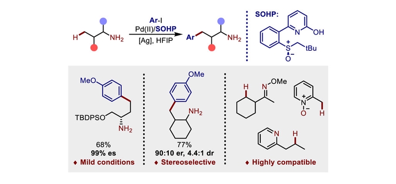 Chen-Hui's Work on Pd(II)/SOHP-Catalyzed C-H Arylation of Primary Aliphatic Amines Published in Org. Lett.