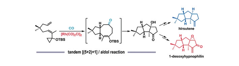 Tandem Rh(I)-Catalyzed [(5+2)+1] Cycloaddition/Aldol Reaction for the Construction of Linear Triquinane Skeleton: Total Syntheses of (±)-Hirsutene and (±)-1-Desoxyhypnophilin.