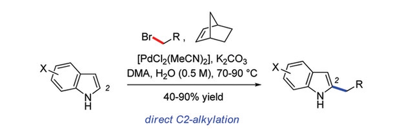Palladium-Catalyzed Direct 2-Alkylation of Indoles by Norbornene-Mediated Regioselective Cascade C–H Activation