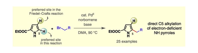 Palladium-Catalyzed Direct C-H Alkylation of Electron-Deficient Pyrrole Derivatives