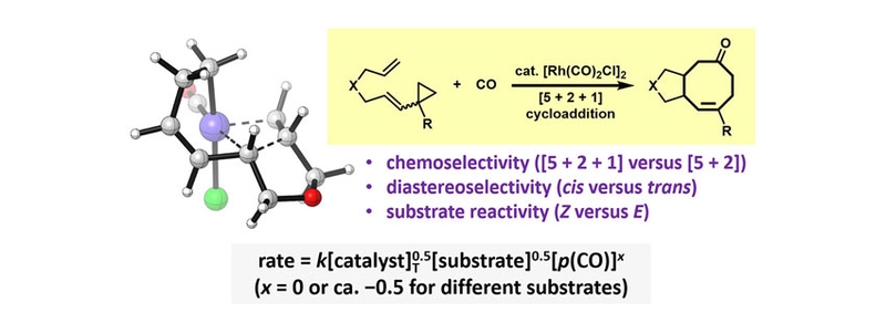 Mechanism and Stereochemistry of Rhodium-Catalyzed [5 + 2 + 1] Cycloaddition of Ene–Vinylcyclopropanes and Carbon Monoxide Revealed by Visual Kinetic Analysis and Quantum Chemical Calculations.