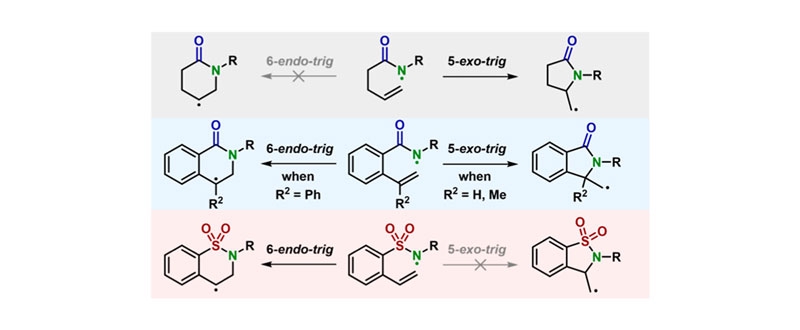 Nitrogen-Centered Radical Cyclization Initiated by Proton-Coupled Electron Transfer: A Mechanistic Study of 5-*Exo-trig* and 6-*Endo-trig* Cyclization Pathways.