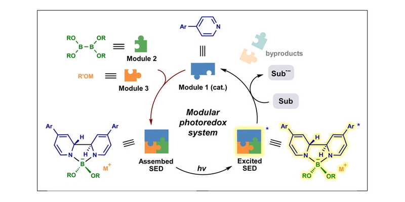 Modular Photoredox System with Extreme Reduction Potentials Based on Pyridine Catalysis.