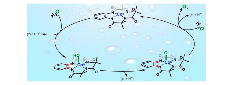 Redox-Active Ligand Assisted Multielectron Catalysis: A Case of Co<sup>III</sup> Complex as Water Oxidation Catalyst.