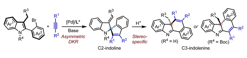Divergent Synthesis of Indolenine and Indoline Ring Systems by Palladium-Catalyzed Asymmetric Dearomatization of Indoles.