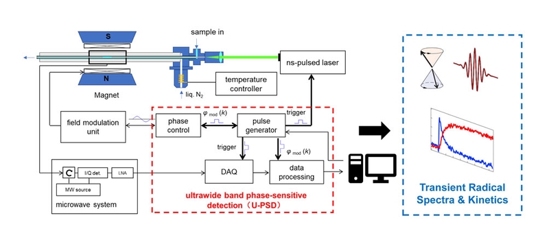 Time-Resolved Electron Paramagnetic Resonance Spectrometer Based on Ultrawide Single-Sideband Phase-Sensitive Detection.