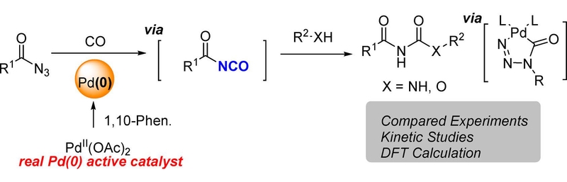 Pd-Catalyzed Carbonylation of Acyl Azides.