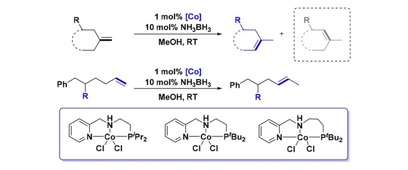 Cobalt-Catalyzed Regioselective Olefin Isomerization Under Kinetic Control.