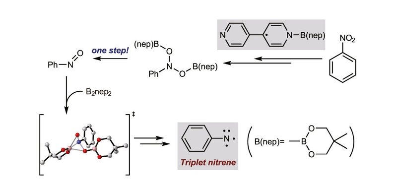 DFT Study on the Mechanism of 4,4′-Bipyridine-Catalyzed Nitrobenzene Reduction by Diboron(4) Compounds.