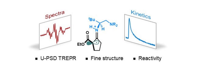 Direct Observation of Enamine-Derived Radicals with Time-Resolved Electron Paramagnetic Resonance.