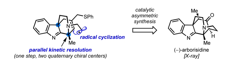Total Synthesis of (-)-Arborisidine.