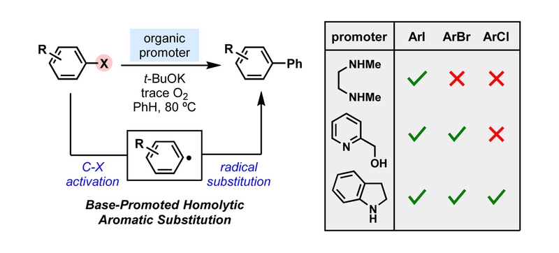 Aromatization Modulates the Activity of Small Organic Molecules as Promoters for Carbon– Halogen Bond Activation.