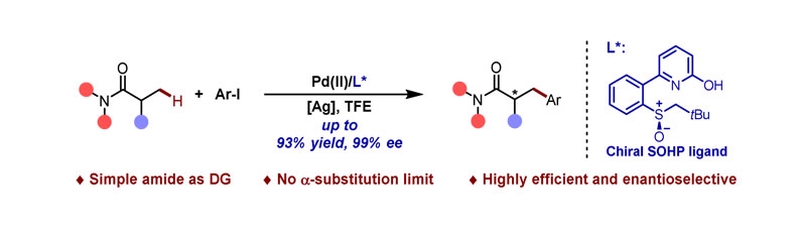 Ligand-Enabled Pd(II)-Catalyzed Enantioselective β-C(sp<sup>3</sup>)-H Arylation of Aliphatic Tertiary Amides.