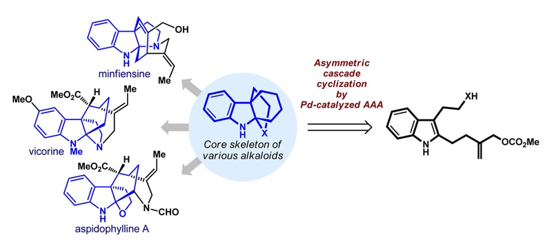 Asymmetric Total Synthesis of (+)-Minfiensine by an Asymmetric Cascade Cyclization Strategy.