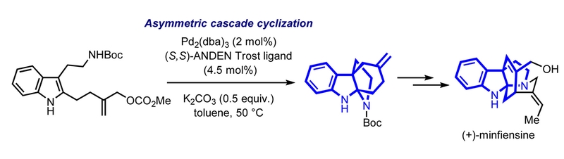 Total Synthesis of (+)-Minfiensine: Construction of the Tetracyclic Core Structure by an Asymmetric Cascade Cyclization.