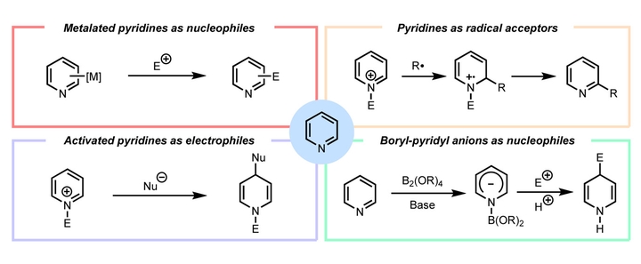Recent Developments in TransitionMetalFree Functionalization and