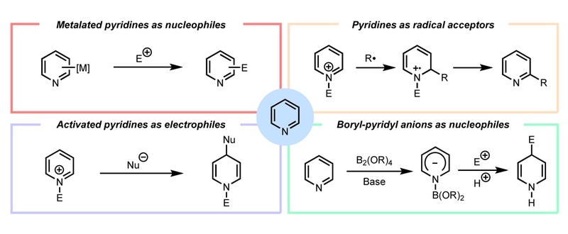 Recent Developments in Transition-Metal-Free Functionalization and Derivatization Reactions of Pyridines.